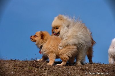 Apr3_08_198.JPG