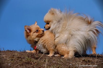 Apr3_08_199.JPG