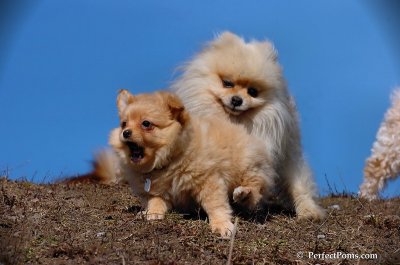 Apr3_08_202.JPG