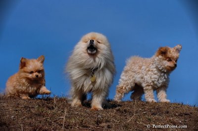 Apr3_08_208.JPG