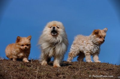 Apr3_08_209.JPG