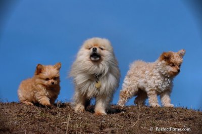 Apr3_08_210.JPG