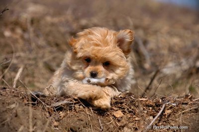 Apr3_08_283.jpg