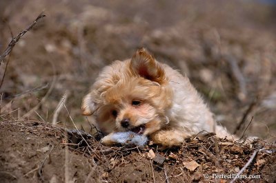 Apr3_08_286.jpg