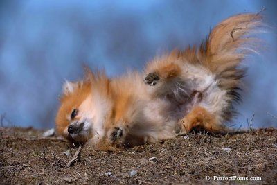 Apr3_08_292.jpg