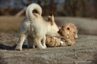 Apr3_08_298.jpg