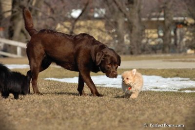 Apr3_08_314.jpg