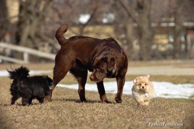 Apr3_08_315.jpg