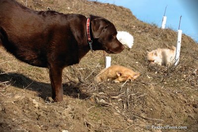 Apr3_08_316.jpg
