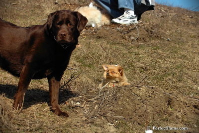Apr3_08_317.jpg