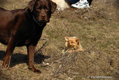 Apr3_08_318.jpg