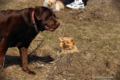 Apr3_08_319.jpg