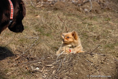 Apr3_08_320.jpg