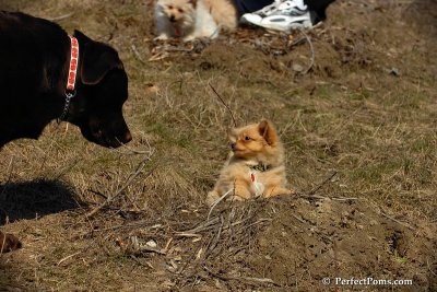 Apr3_08_321.jpg