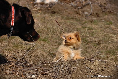 Apr3_08_328.jpg