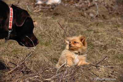 Apr3_08_329.jpg