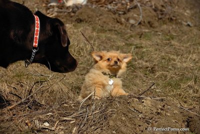 Apr3_08_332.jpg