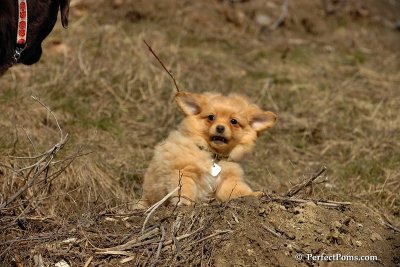 Apr3_08_342.jpg
