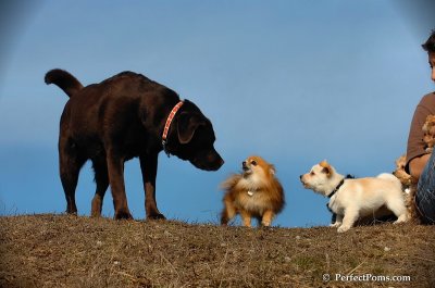 Apr3_08_348.JPG