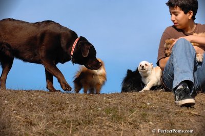 Apr3_08_350.JPG