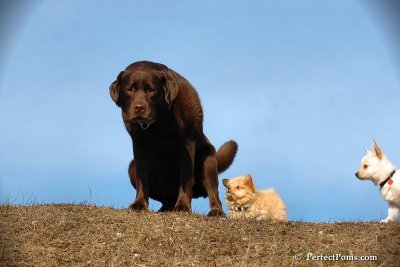 Apr3_08_355.jpg