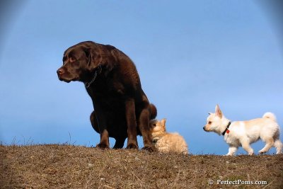 Apr3_08_358.jpg