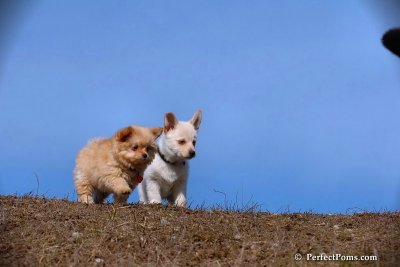 Apr3_08_360.jpg