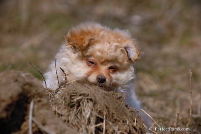 Apr3_08_373.jpg