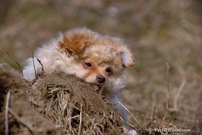 Apr3_08_374.jpg