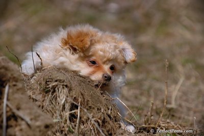 Apr3_08_375.jpg