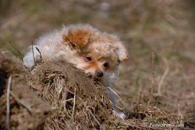 Apr3_08_376.jpg