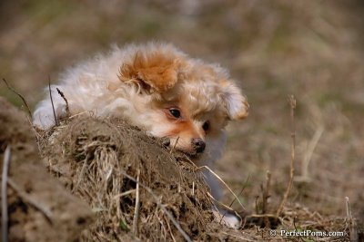 Apr3_08_377.jpg