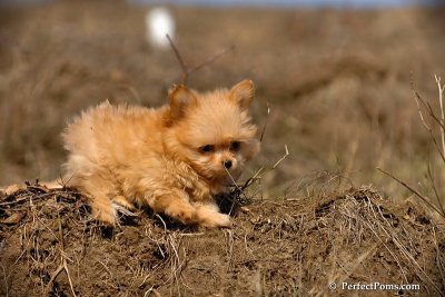 Apr3_08_378.jpg