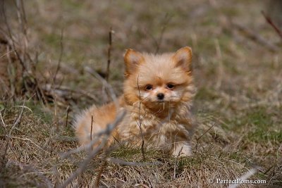 Apr3_08_381.jpg