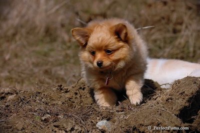 Apr3_08_390.jpg