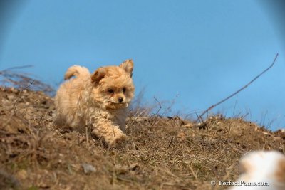 Apr3_08_394.jpg