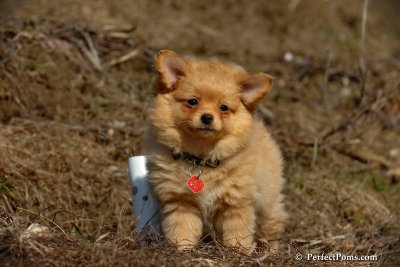 Apr3_08_401.jpg