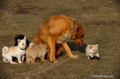 Apr3_08_405.JPG