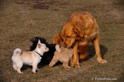 Apr3_08_409.jpg