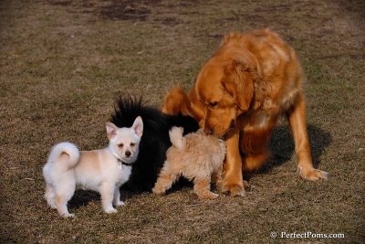 Apr3_08_410.jpg