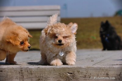 Apr5_08_140.JPG