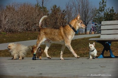 Apr5_08_155.JPG