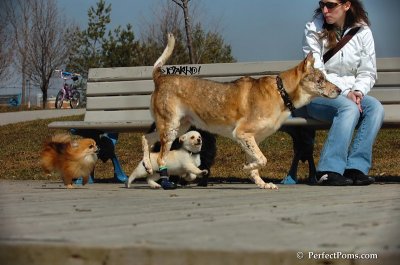 Apr5_08_156.JPG