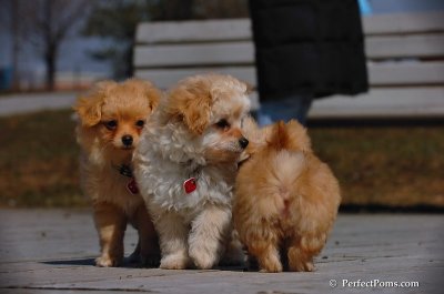 Apr5_08_166.JPG