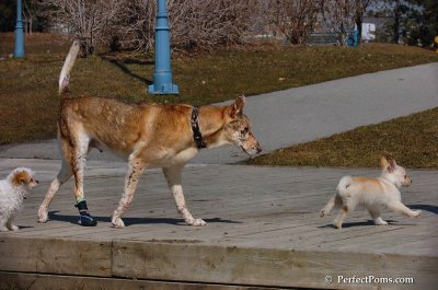 Apr5_08_182.JPG