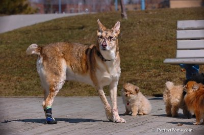 Apr5_08_183.JPG