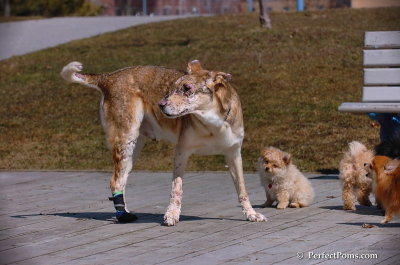 Apr5_08_184.JPG