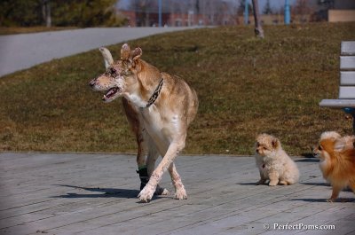 Apr5_08_185.JPG