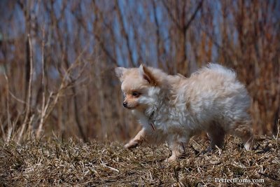 Apr5_08_189.jpg