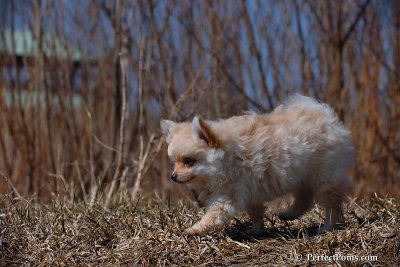 Apr5_08_190.jpg